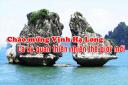 trongmai2 - trongmai2.jpg